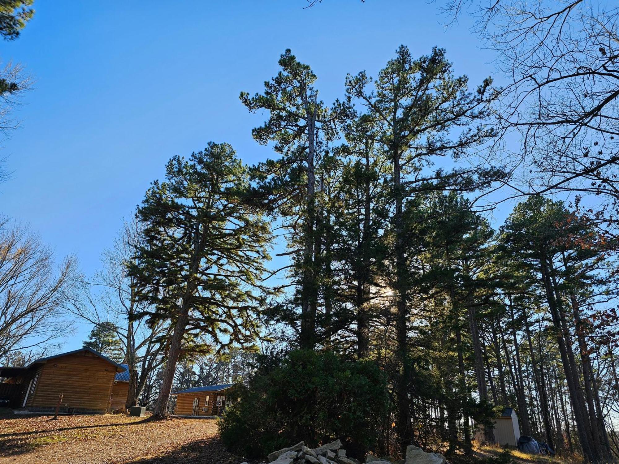 5 Min To Beaver Lake-King Bed-Fire Pit-Jetted Tub #3 Юрика-Спрінгс Екстер'єр фото